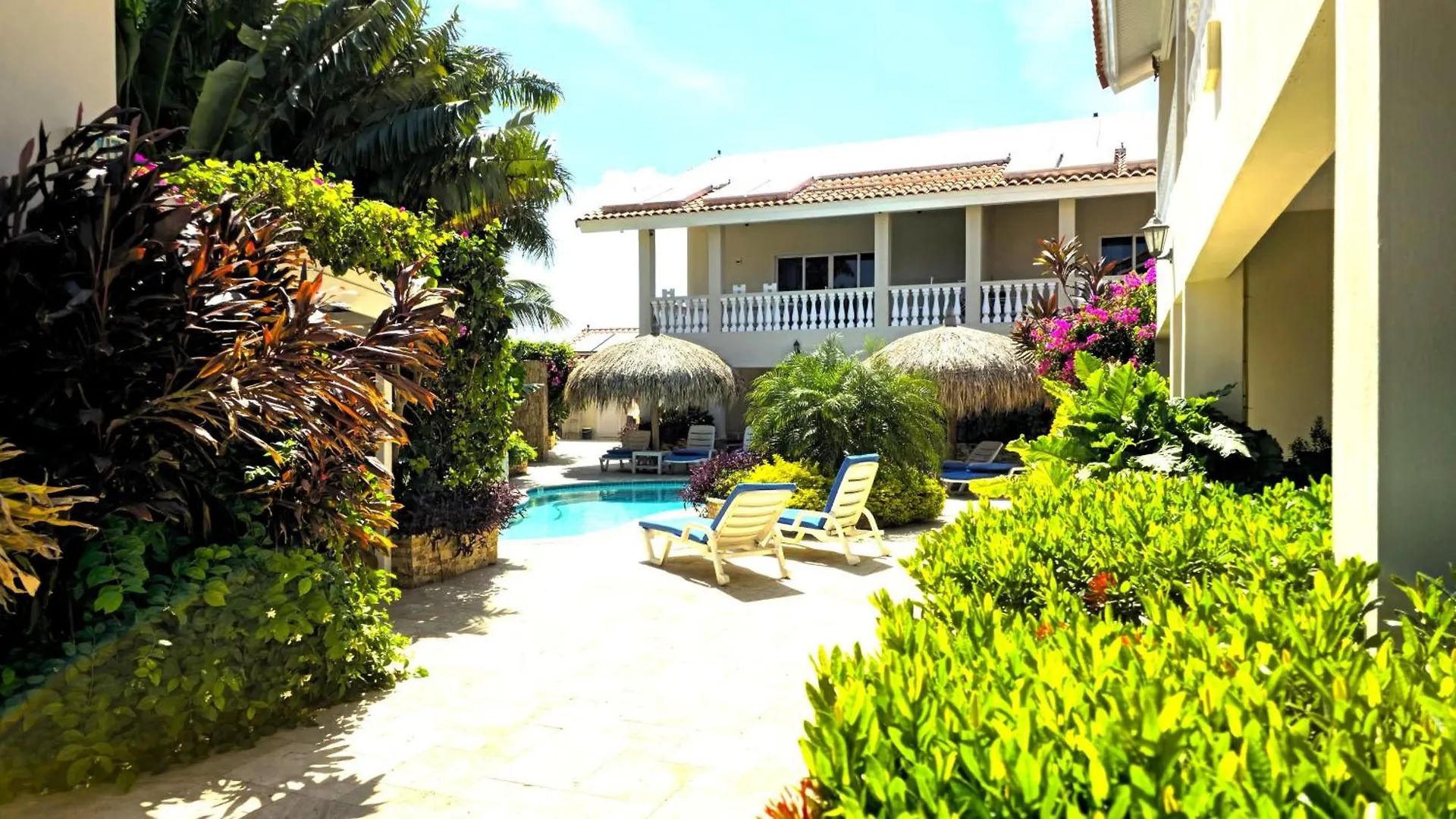 Perfect 1-Bedroom-Apartment 2 Km From Eagle Beach location
