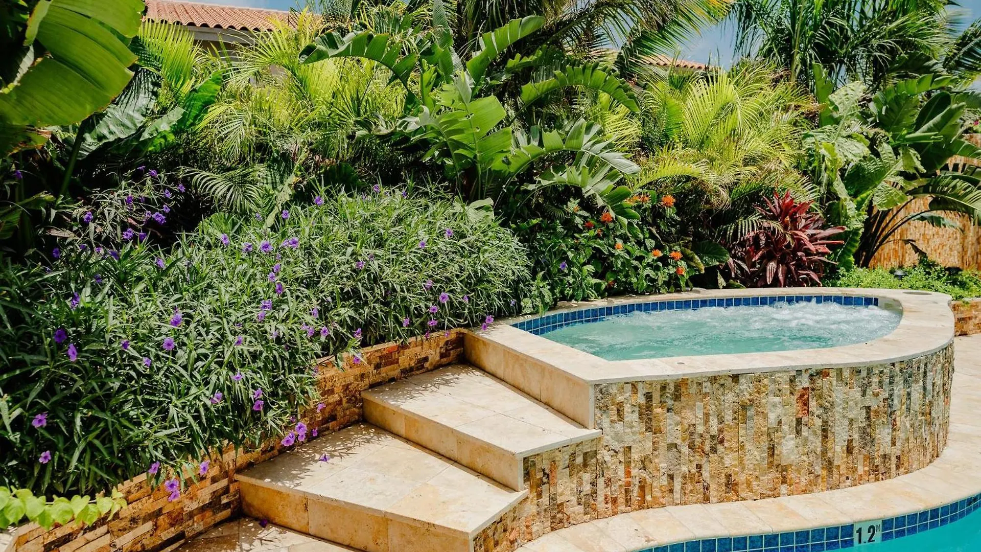 Perfect 1-Bedroom-Apartment 2 Km From Eagle Beach Palm Beach Aruba